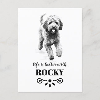 Postal Lagotto Romagnolo Life es mejor nombre de perro Pe