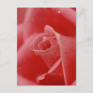 Postal Lágrima en el ojo