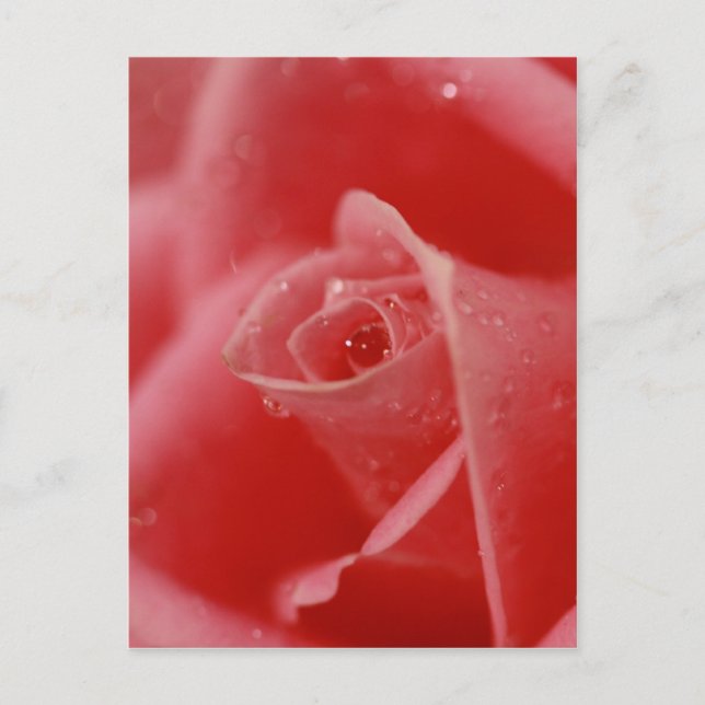 Postal Lágrima en el ojo (Anverso)