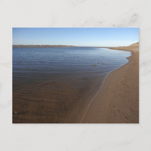 Postal Laguna Abbotts II en Point Reyes National Seashore (Anverso)