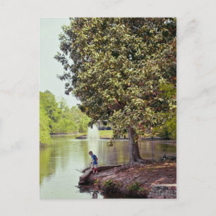 Postal Laguna Audubon