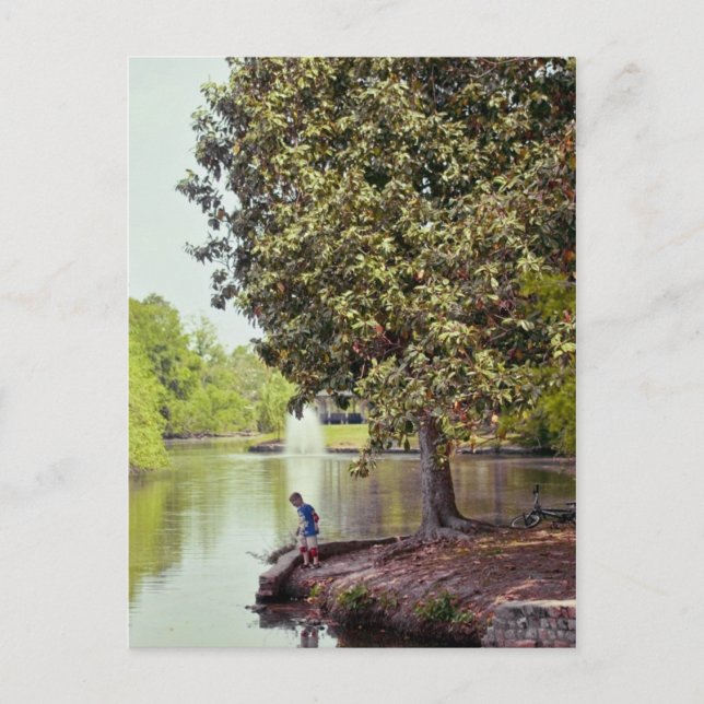 Postal Laguna Audubon (Anverso)