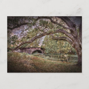 Postal Laguna Audubon