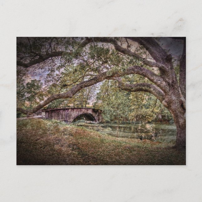 Postal Laguna Audubon (Anverso)