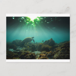Postal Laguna de mar verde tortuga submarina