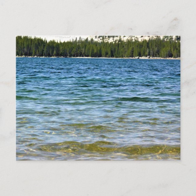 Postal Laguna de Tenaya, Yosemite, CA (Anverso)