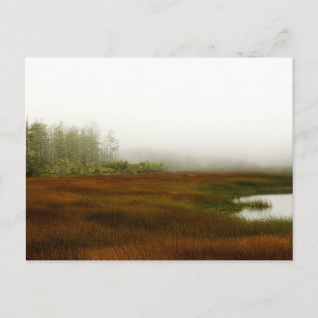 Postal Laguna Humboldt (Anverso)