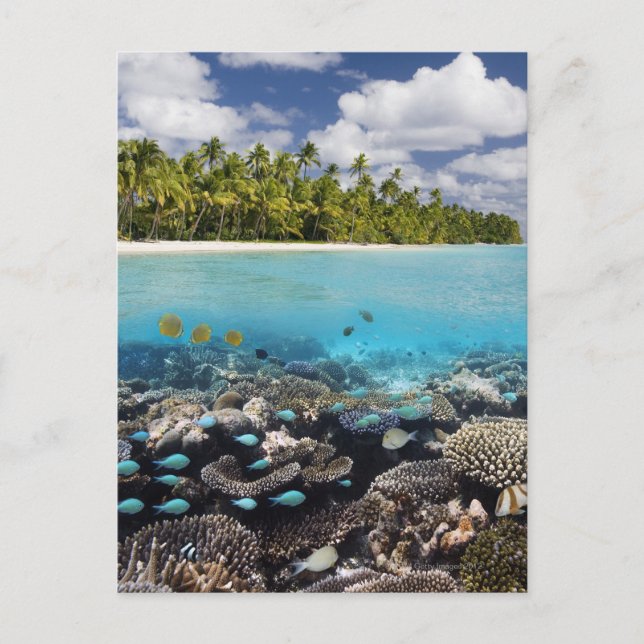 Postal Laguna tropical | Atolón de Ari Sur (Anverso)