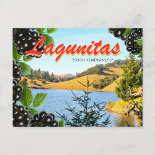 Postal Lagunitas, "Tales Tensiones" (Hass, toma 2)