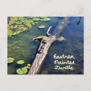 Postal Lake Erie Metropark Turtle Log Vertical con texto