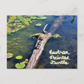 Postal Lake Erie Metropark Turtle Log Vertical con texto