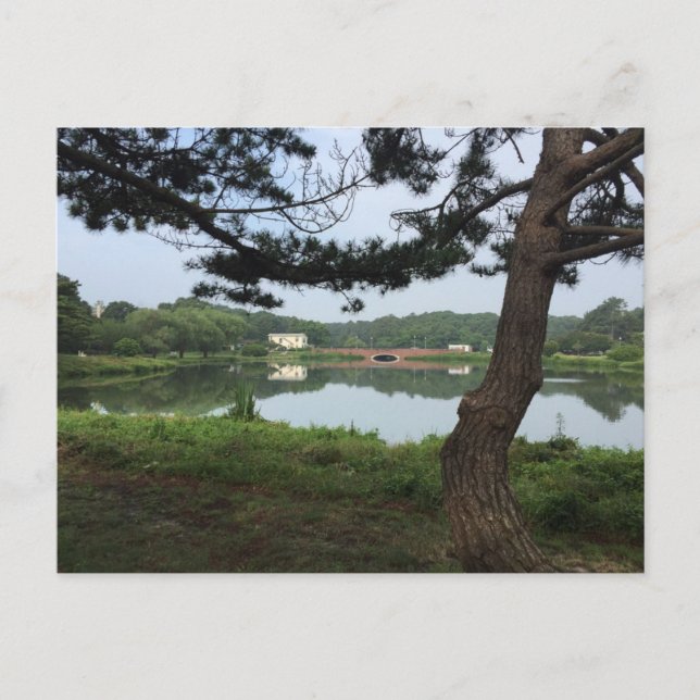 Postal Lake Gerar Rehoboth Beach Delaware DE Photography (Anverso)