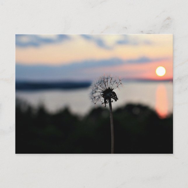 POSTAL LAKE OZARK FLOWER (Anverso)