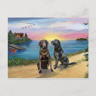 Postal Lake Road - Dos Labrador Retriever (Choc-Neg)