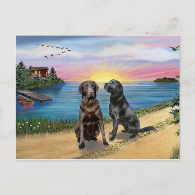 Postal Lake Road - Dos Labrador Retriever (Choc-Neg) (Anverso)