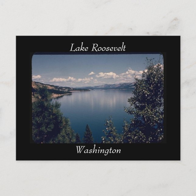 Postal Lake Roosevelt, Washington Postcard (Anverso)