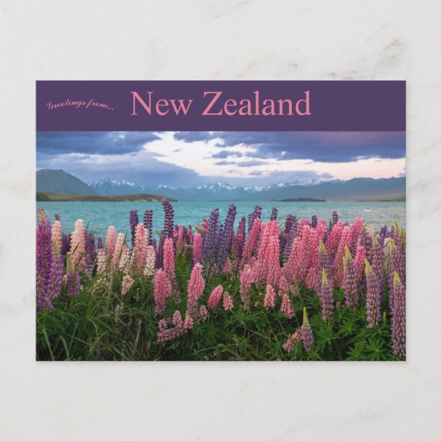 Postal Lake Tekapo New Zealand (Anverso)