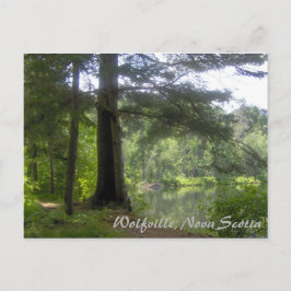 Postal Lakeside Woodland
