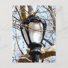 Postal Lamp Post New York Central Park