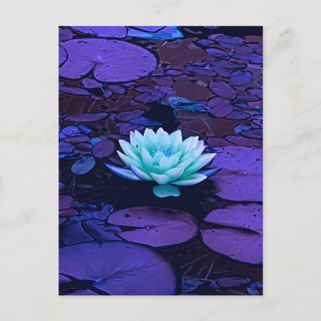 Postal Lámpara Flor Morado Azul Turquesa Floral Pond Zen (Anverso)