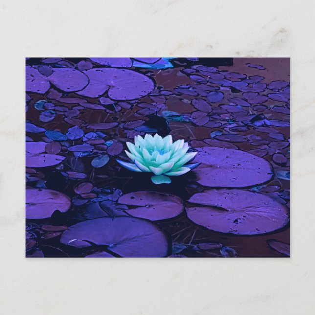 Postal Lámpara Flor Morado Azul Turquesa Floral Pond Zen (Anverso)