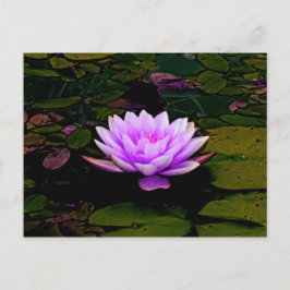 Postal Lámpara Flor Rosa Verde Fond Zen