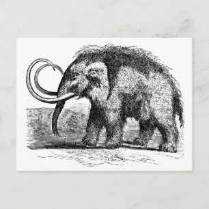 Postal lana-mamut-2