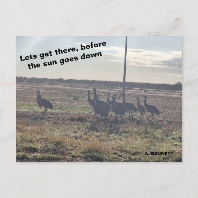 Postal Lancemos allí (Anverso)