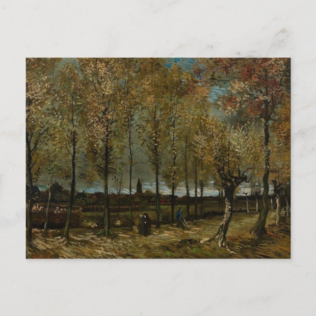 Postal Lane con Poplars cerca de Nuenen - Van Gogh - c188 (Anverso)