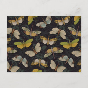 Postal Lanternflies - Pyrops Candelaria y otros planthopp