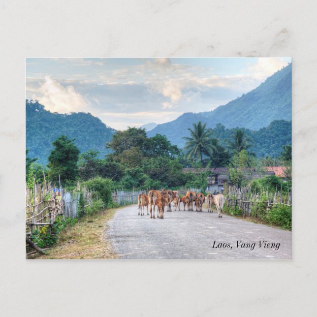 Postal Laos, Vang Vieng (Anverso)