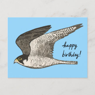 Postal Lapicero de colores Halcón Peregrino FELIZ CUMPLEA