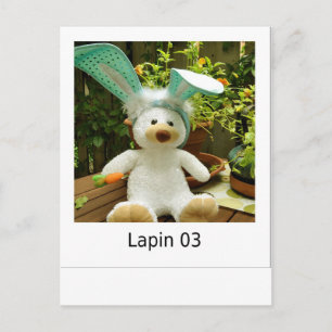 Postal Lapin 03