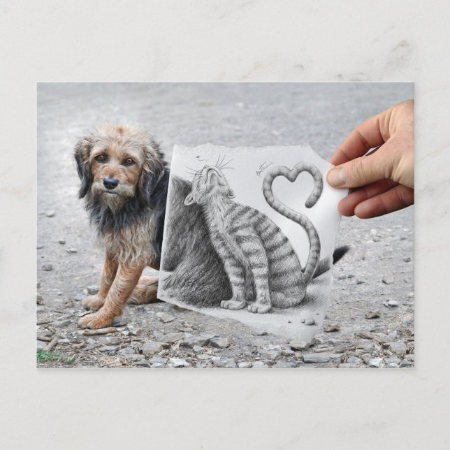 Postal Lápiz contra cámara - Perro y gato (Anverso)