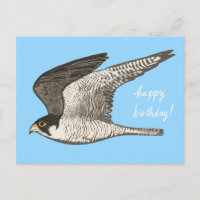 Lápiz de color halcón peregrino FELIZ CUMPLEAÑOS