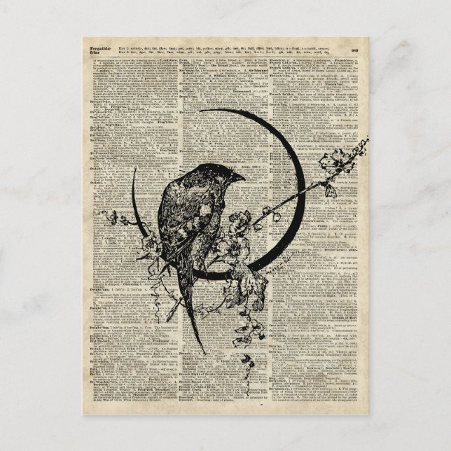 Postal Lápiz de pájaro de Black Raven sobre página de dic (Anverso)