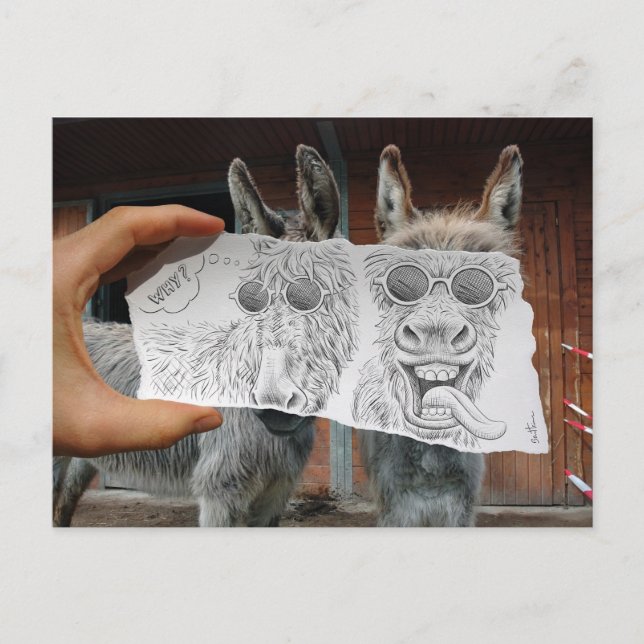 Postal Lápiz Vs Cámara - Crazy Donkeys (Anverso)