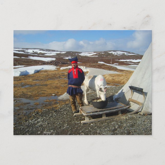 Postal Laponia, acuerdo de Sámi con la tienda y la vaca (Anverso)