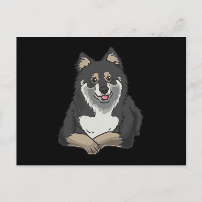 Postal Laponia finlandesa con animal relleno (Anverso)