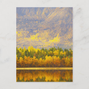 Postal Laponia noruega en los colores del otoño