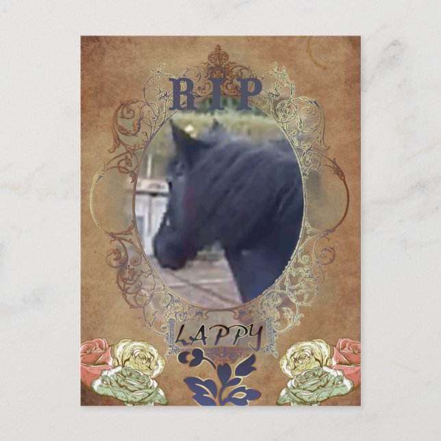Postal LAPPY R.I.P. - Postcard (Anverso)