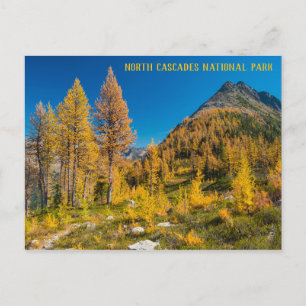 Postal Larches de otoño en Easy Pass Washington