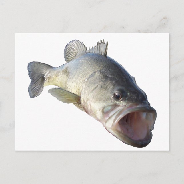 Postal Largemouth Bass (Anverso)