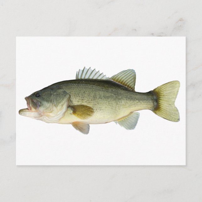 Postal Largemouth Bass (Anverso)