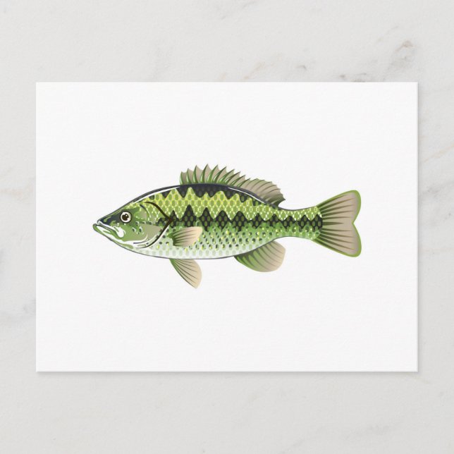 Postal Largemouth Spots Green American Bass Vector (Anverso)