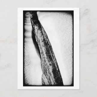 Postal largo frío duro solitario