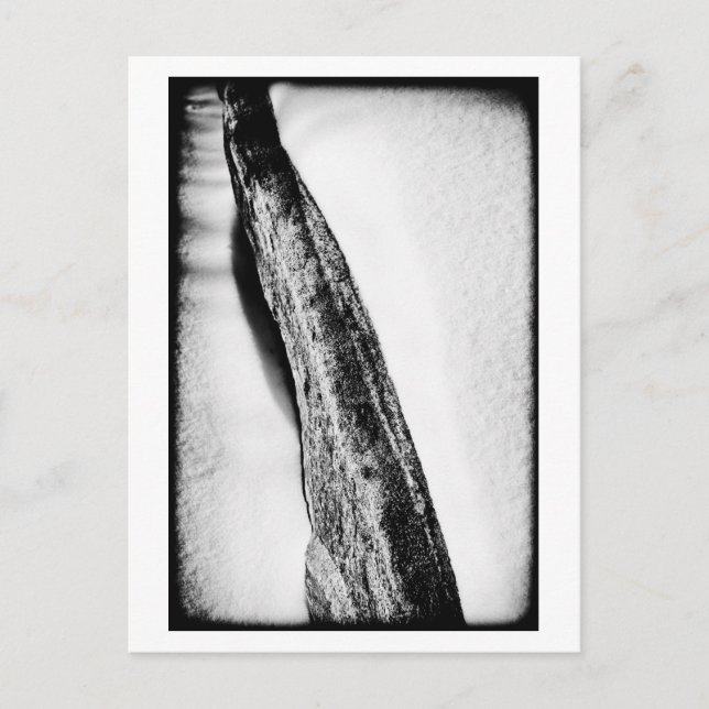 Postal largo frío duro solitario (Anverso)