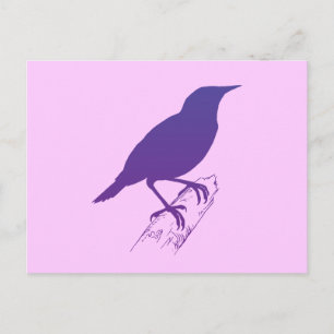Postal Largo Purple Meadow