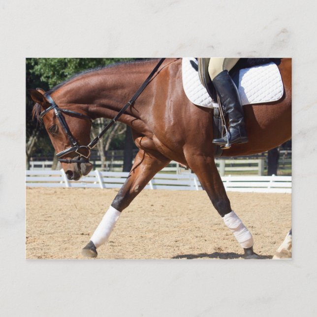 Postal Largo y bajo (Anverso)