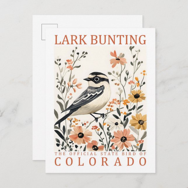 Postal Lark Bunting Bird of Colorado USA Travel (Anverso / Reverso)